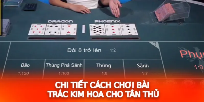 Chi tiết cách chơi bài Trác Kim Hoa cho tân thủ